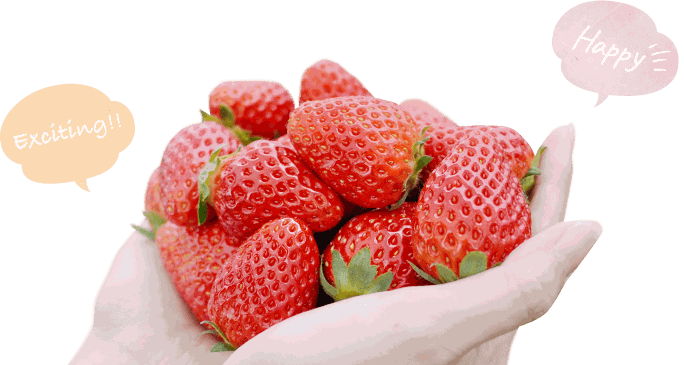 Strawberries that taste like happiness - Exciting!! Happy